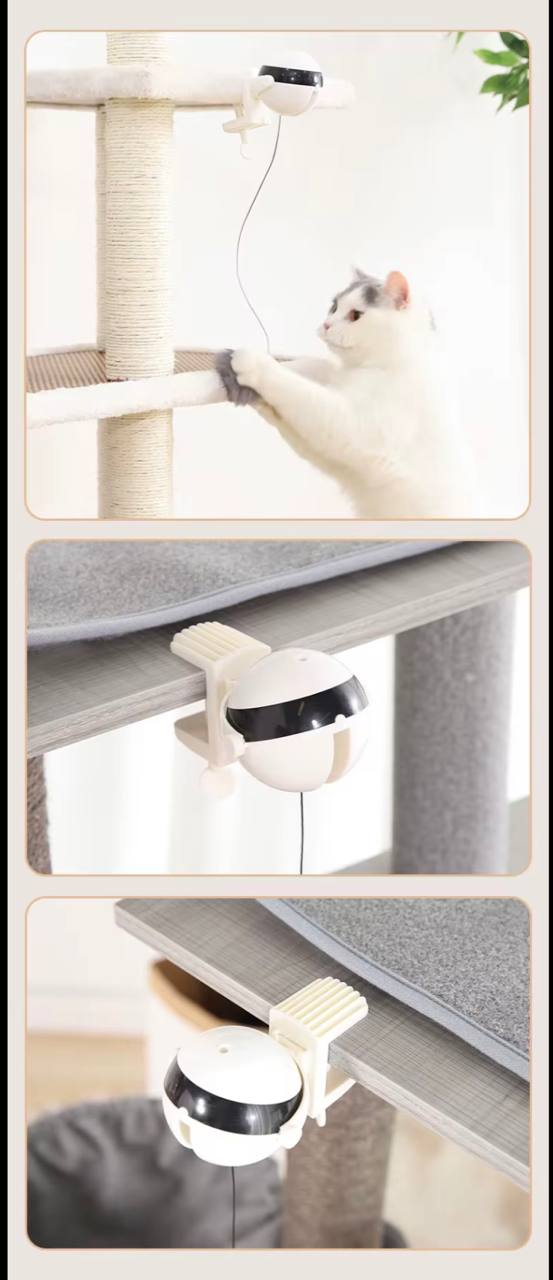 Keep Your Cat Happy, Healthy and Active