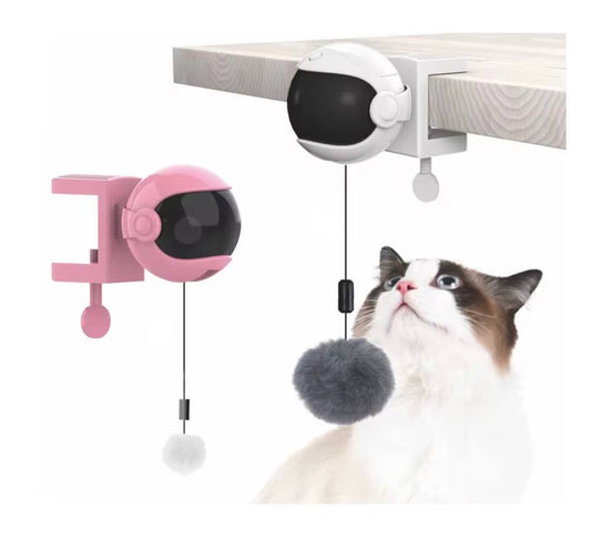 Keep Your Cat Happy, Healthy and Active